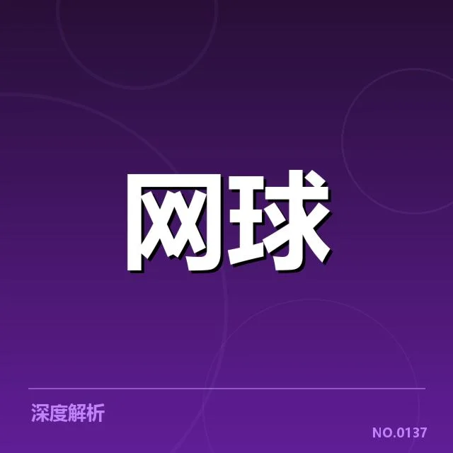 青少年网球挑战赛：赛事组织与选手备战面临何种考验